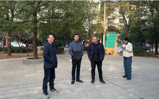 欧博体育下载市园林中心开展中心城区2024年第四季度园林绿化管护考核(图1)