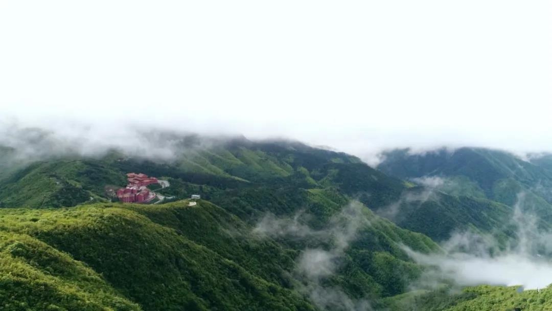 阳明山青山春雨后山水如墨染