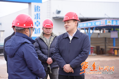 林亮亮调研重点项目建设和企业复工复产工作_副本500.jpg