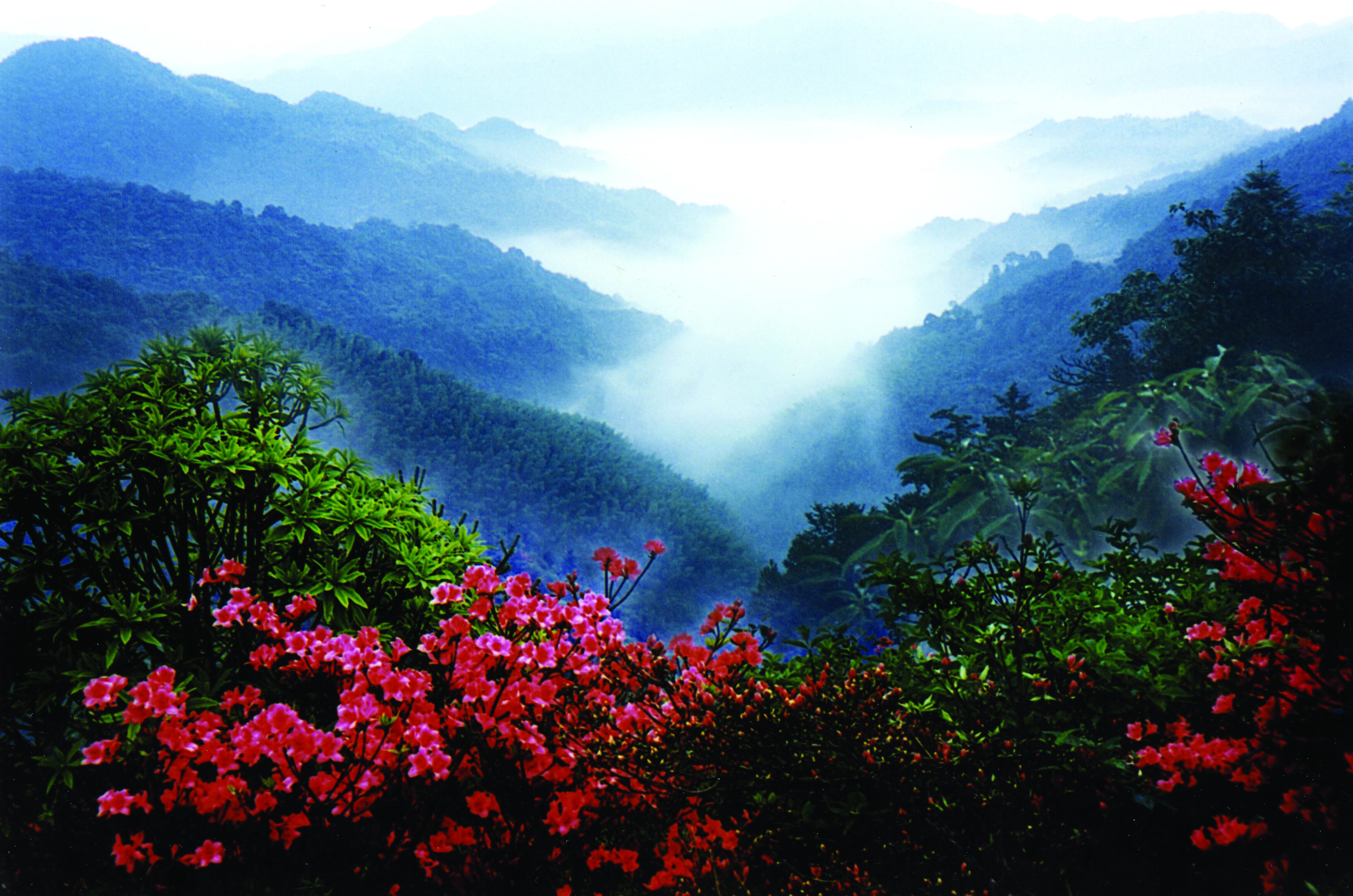 永州旅游双牌篇阳明山