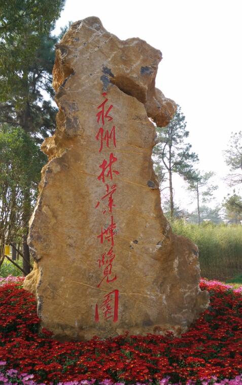 到永州森林植物园欣赏书法