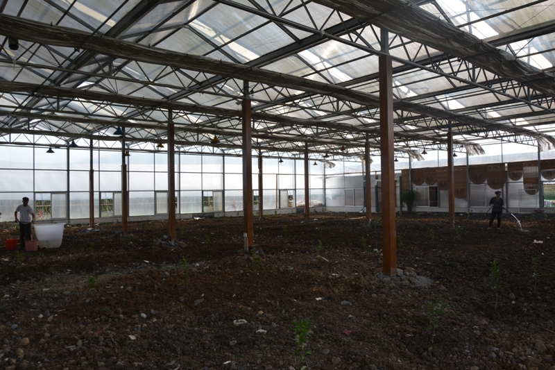 省市联合督查组对东安"大棚房"问题整治整改情况表示满意