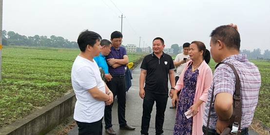 种下红麻千百亩 乡村振兴辟新径—祁阳县八宝镇双合村红麻种植基地