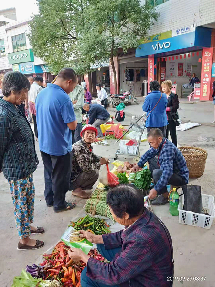 祁阳县龚家坪镇加强农产品质量安全宣传