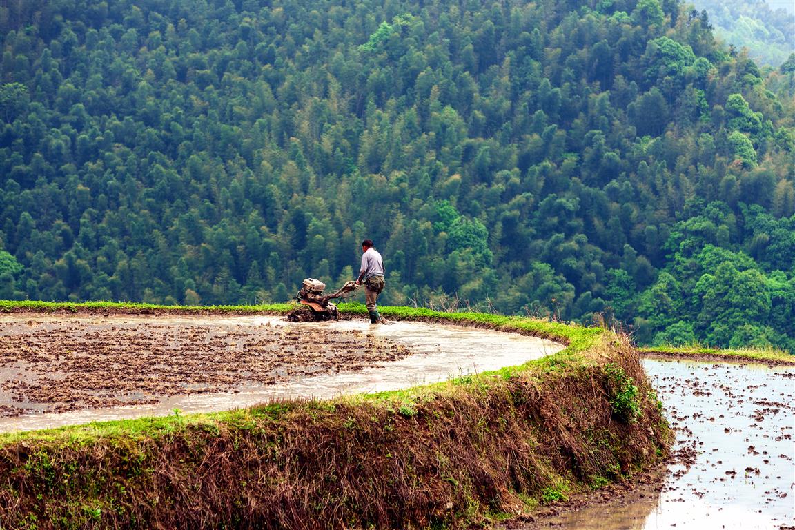 永州版"龙脊梯田"农耕图美翻了 趁早去看看