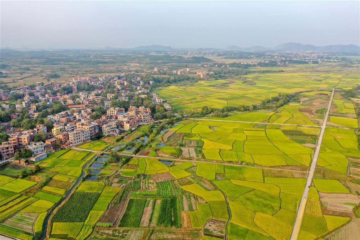 金秋时节道县乡村美如画