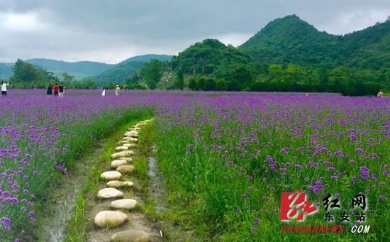 东安争创国家全域旅游示范县 全力做好“旅游+”文章