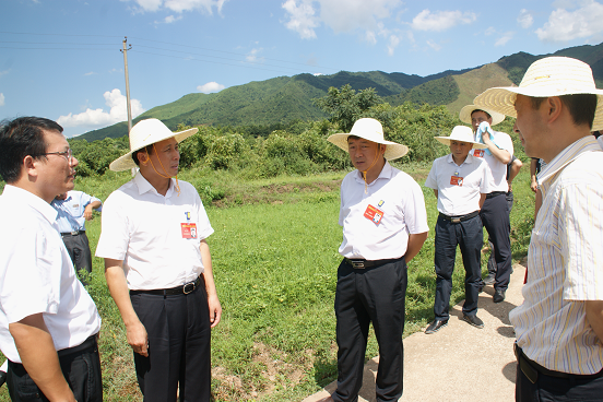 区委书记唐烨(右二),副区长彭定国(右三)在富家桥镇灵仙观村考察黄
