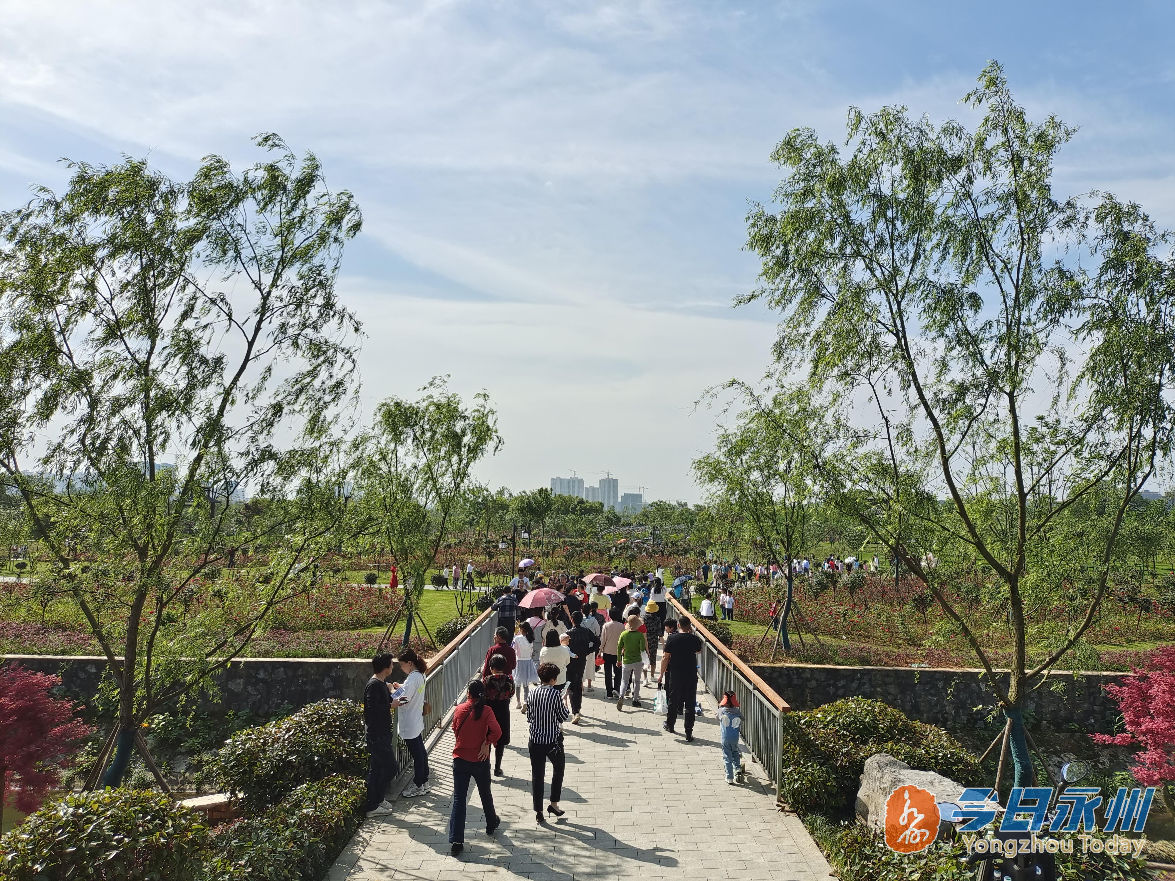 宋家洲公园开园 市民"尝鲜"一睹"芳容"