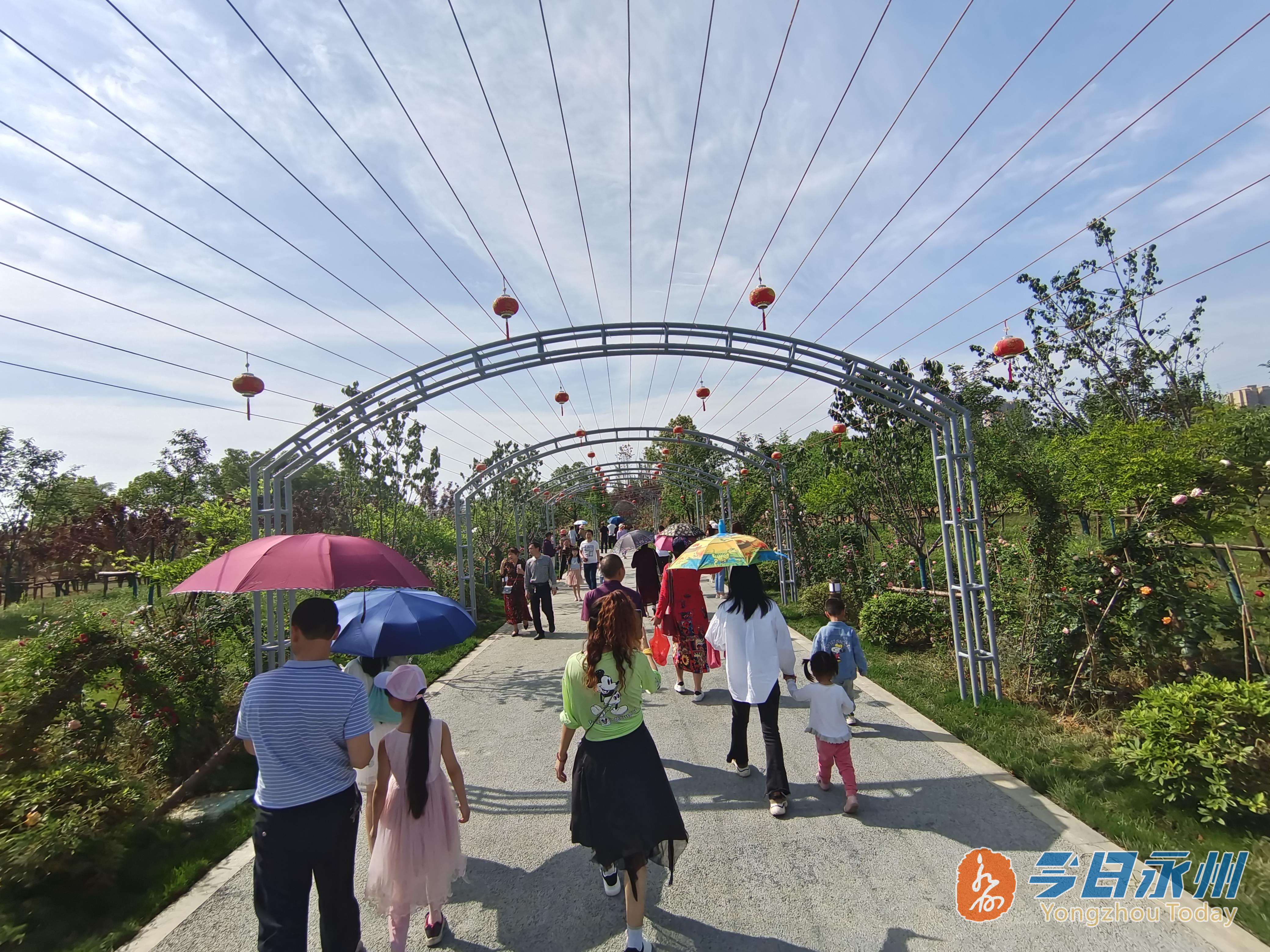 宋家洲公园开园 市民"尝鲜"一睹"芳容"