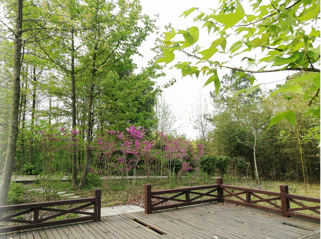 永州市森林植物园让你遇见最美的春光