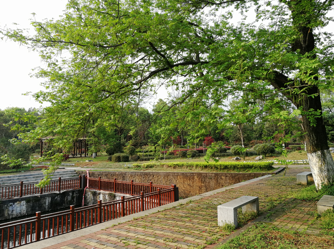 永州市森林植物园让你遇见最美的春光