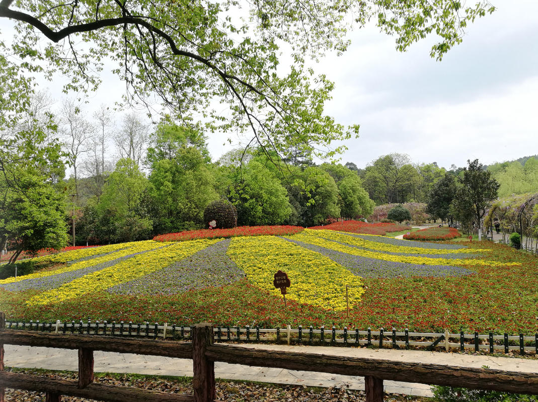 永州市森林植物园让你遇见最美的春光