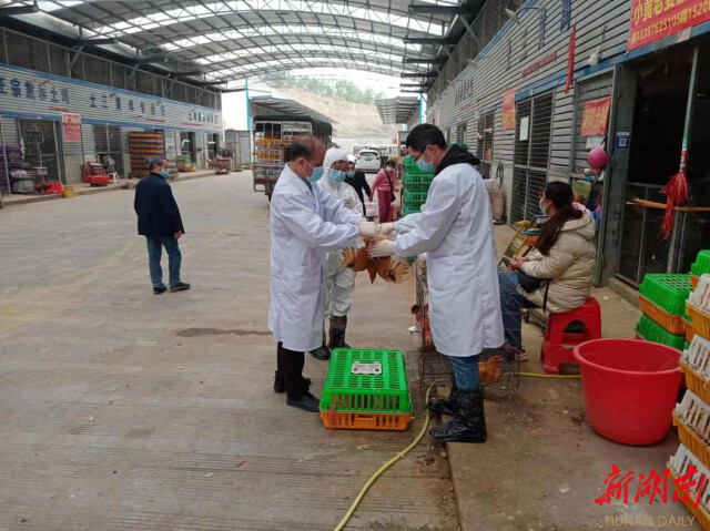 永州市农业农村局:全力以赴打好新冠肺炎疫情防控和动物疫病防控“双战疫”